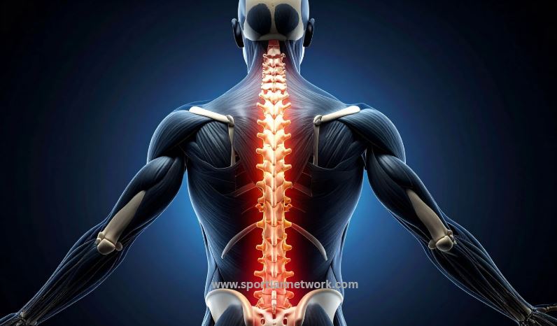 Thoracic Spine Mobility