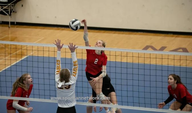 Volleyballs